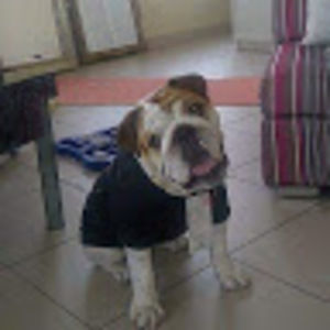 Meet your Posher, Marla